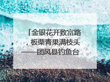金银花开致富路，板栗青果满枝头——团风县钓鱼台村“山水生金”谱写共富新篇章